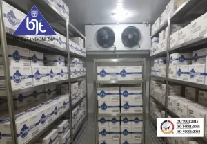 Understanding the Distinctions Between Blast Freezers and Freezer Rooms